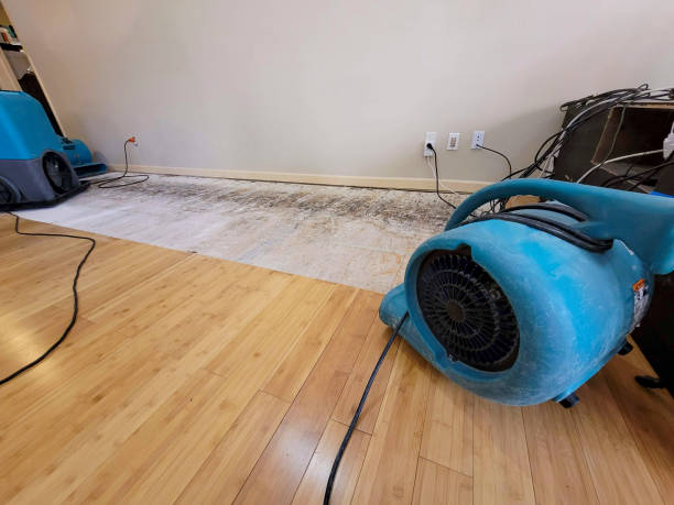 Professional Water Damage Repair technician working in Farmington, ME